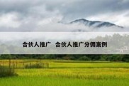 合伙人推广  合伙人推广分佣案例