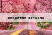 竞价托管收费报价  竞价托管价格表