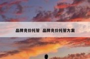 品牌竞价托管  品牌竞价托管方案