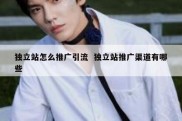 独立站怎么推广引流  独立站推广渠道有哪些