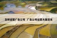 怎样运营广告公司  广告公司运营方案范文