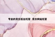 专业的竞价后台托管  竞价网站托管