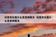 托管竞价是什么意思啊英文  托管竞价是什么意思啊英文