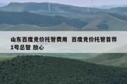 山东百度竞价托管费用  百度竞价托管首荐1号总管 放心