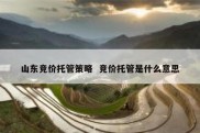 山东竞价托管策略  竞价托管是什么意思
