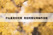 什么是竞价托管  竞价托管公司操作流程