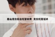 眉山竞价后台托管收费  竞价托管话术