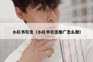 小红书引流（小红书引流推广怎么做）
