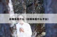 自媒体是什么（自媒体是什么平台）