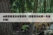 山西百度竞价托管软件（百度竞价托管一月多少钱）