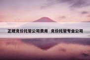 正规竞价托管公司费用  竞价托管专业公司