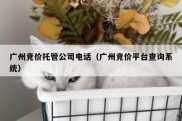 广州竞价托管公司电话（广州竞价平台查询系统）