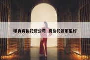 哪有竞价托管公司  竞价托管那里好