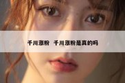 千川涨粉  千川涨粉是真的吗