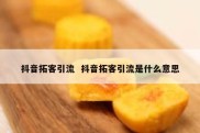 抖音拓客引流  抖音拓客引流是什么意思