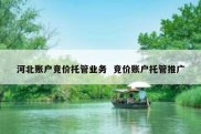 河北账户竞价托管业务  竞价账户托管推广