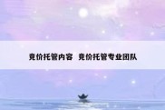 竞价托管内容  竞价托管专业团队