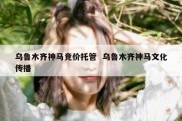 乌鲁木齐神马竞价托管  乌鲁木齐神马文化传播