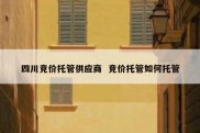 四川竞价托管供应商  竞价托管如何托管