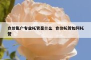 竞价账户专业托管是什么  竞价托管如何托管