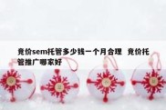 竞价sem托管多少钱一个月合理  竞价托管推广哪家好