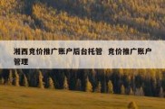 湘西竞价推广账户后台托管  竞价推广账户管理