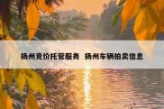 扬州竞价托管服务  扬州车辆拍卖信息