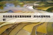 竞价托管介绍文案简短精辟（竞价托管如何托管）