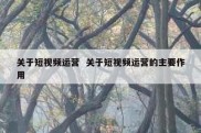 关于短视频运营  关于短视频运营的主要作用