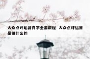 大众点评运营自学全套教程  大众点评运营是做什么的