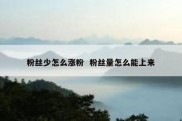 粉丝少怎么涨粉  粉丝量怎么能上来