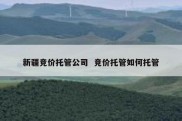 新疆竞价托管公司  竞价托管如何托管