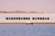 潜江竞价托管公司排名  潜江市拍卖公告