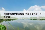 百度竞价推广托管客服  百度竞价托管一月多少钱