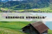 有赞微商城的引流  有赞微商城怎么推广