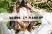 加盟招商推广公司  加盟招商团队