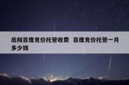 岳阳百度竞价托管收费  百度竞价托管一月多少钱