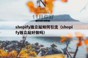 shopify独立站如何引流（shopify独立站好做吗）