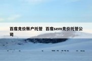百度竞价账户托管  百度sem竞价托管公司