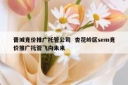 晋城竞价推广托管公司  杏花岭区sem竞价推广托管飞向未来