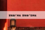 营销推广网站  营销推广型网站