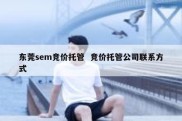 东莞sem竞价托管  竞价托管公司联系方式