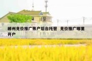 郴州竞价推广账户后台托管  竞价推广哪里开户