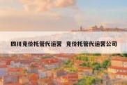四川竞价托管代运营  竞价托管代运营公司