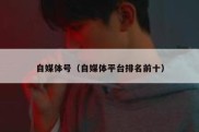 自媒体号（自媒体平台排名前十）