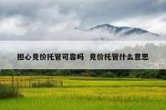 担心竞价托管可靠吗  竞价托管什么意思