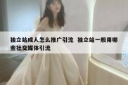 独立站成人怎么推广引流  独立站一般用哪些社交媒体引流