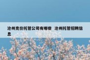 沧州竞价托管公司有哪些  沧州托管招聘信息