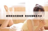 郴州竞价托管收费  竞价托管联系方式