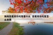 衡阳百度竞价托管是什么  百度竞价托管怎么收费